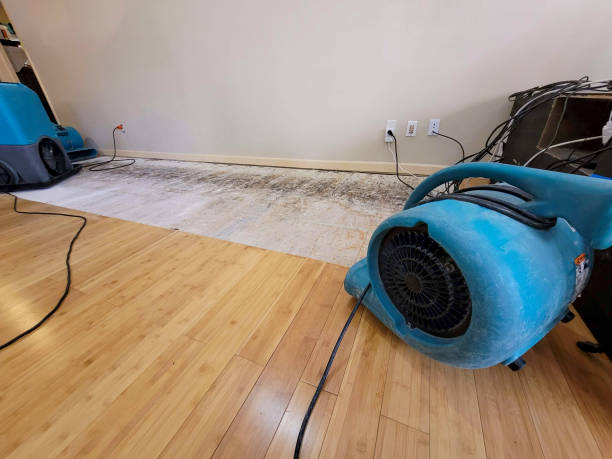 Professional Emergency Water Damage technician working in Albion, NE